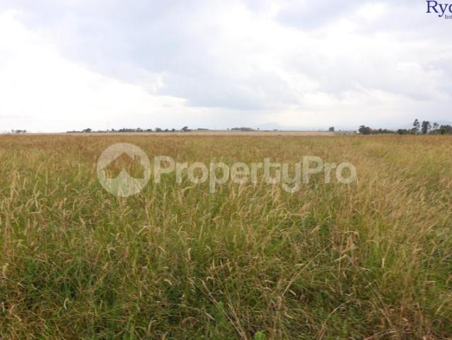 Land for sale Lusoi Paddocks, Naromoru, Nanyuki PID: 4AXES | PropertyPro