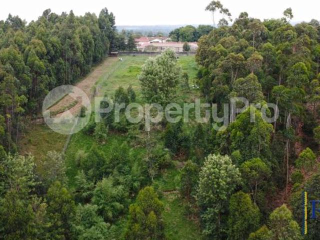 Land for sale RIARA RIDGE TIGONI, Limuru Central Kiambu PID: 7AWML | PropertyPro