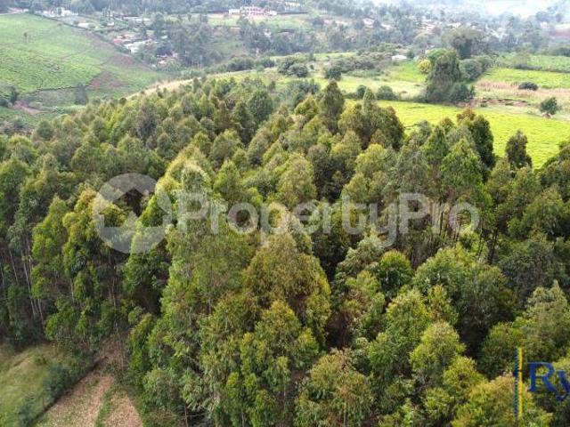 Land for sale Riara Ridge, Tigoni Limuru PID: 3AXLR | PropertyPro