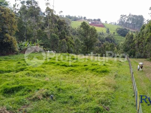 Land for sale Riara Ridge, Tigoni Limuru PID: 3AYTK | PropertyPro