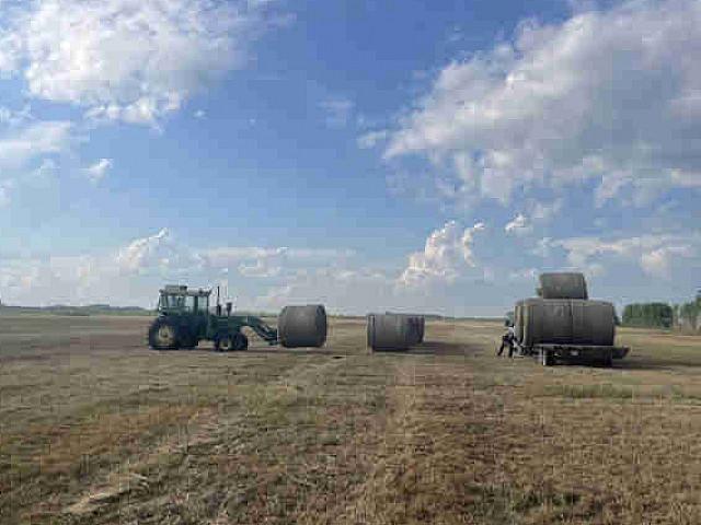Land For Sale Se 22 24 1e Rm Of Fisher