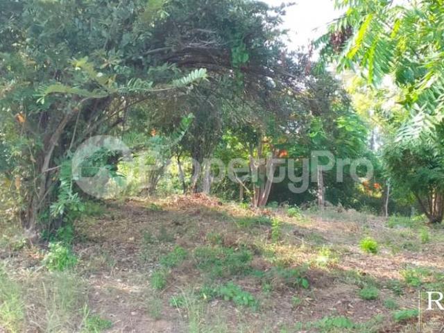 Land for sale Turtle Bay Road, Watamu PID: 5AYLK | PropertyPro
