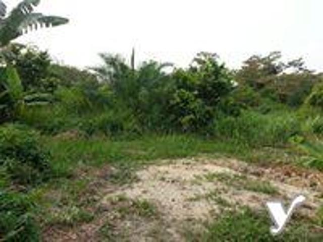 land for sal tanah untuk dijual pinggiran puncak alam