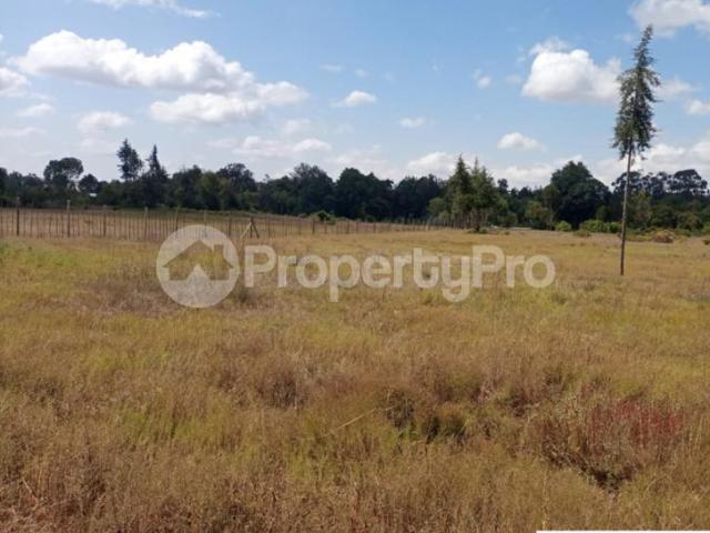 Land for sale timau – ngenia, near kentrout campsite, meru pid: 7awlr | PropertyPro
