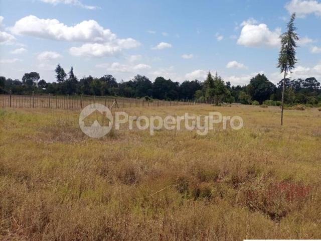 Land for sale Timau – Ngenia, near Kentrout Campsite, Nanyuki PID: 9AXLN | PropertyPro