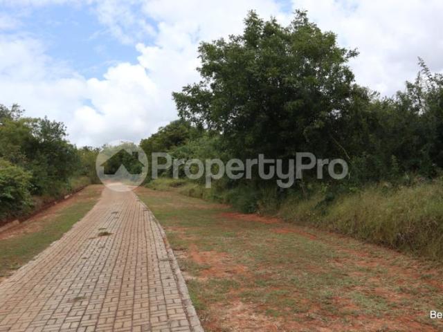 Land for sale Vipingo Kilifi PID: 9AQSP | PropertyPro