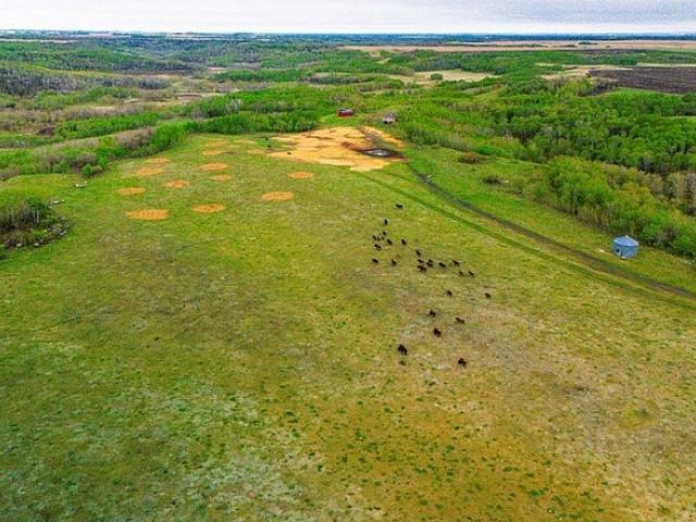 Land Forsale