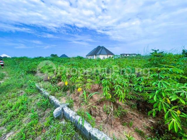 Land in Owerri Imo | Land for sale in owerri | Land in owerri | PropertyPro Nigeria