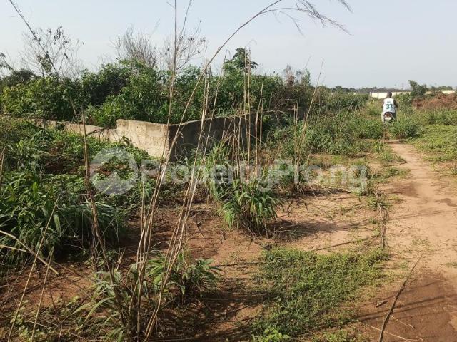 Land in Owerri Imo | Land for sale in owerri | Land in owerri | PropertyPro Nigeria