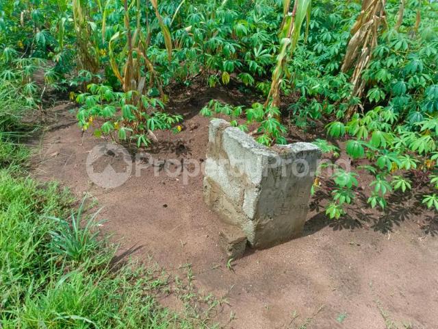 Land in Owerri Imo | Land for sale in owerri | Land in owerri | PropertyPro Nigeria
