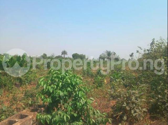 Land in Akinyele Oyo | Land for sale in akinyele | Land in akinyele | PropertyPro Nigeria
