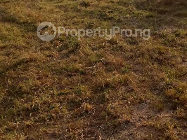 Land in Asa Kwara | Land for sale in asa | Land in asa | PropertyPro Nigeria