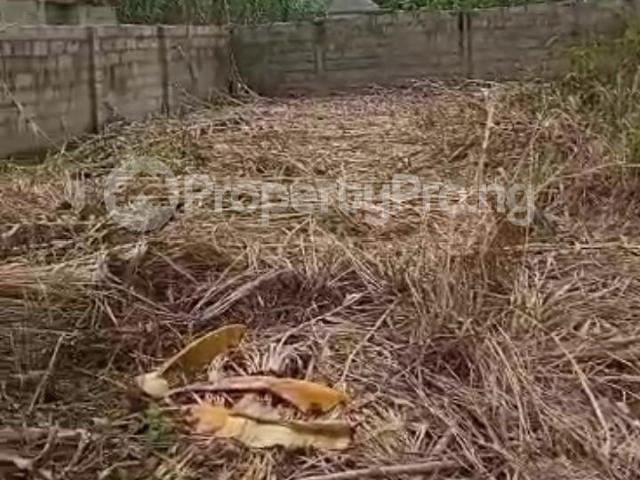 Land in Ewekoro Ogun | Land for sale in ewekoro | Land in ewekoro | PropertyPro Nigeria