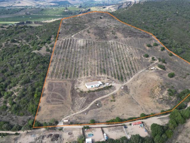 Terreno en HONDA CABADA, MANILVA, MALAGA