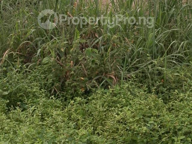 Land in Papalanto Ewekoro Ogun | Land for sale in ewekoro | Land in ewekoro | PropertyPro Nigeria