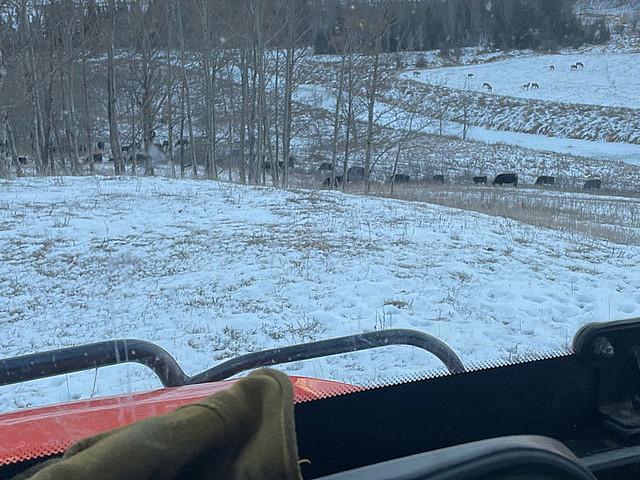 Land Lease For Sale