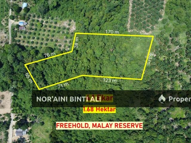 land Pekan