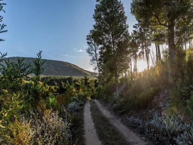 Land Plettenberg Bay Western Cape 103429877