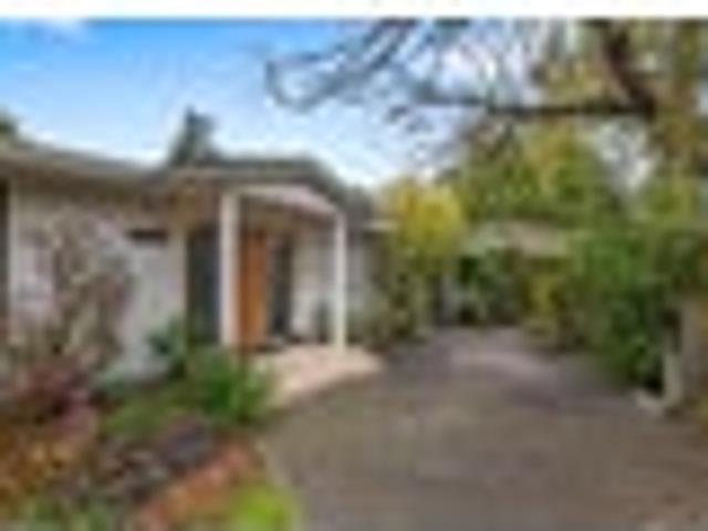 Land, Two Dwellings, & Sheds Galore!