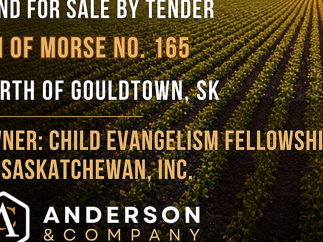 Land Tender: Rm Of Morse #165 5km N Of Gouldtown, Sk