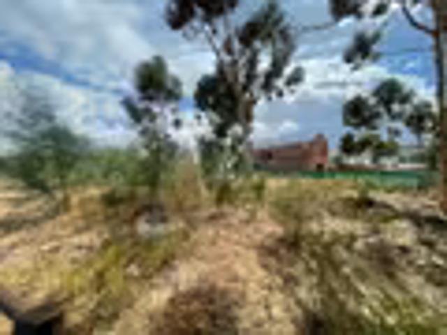 Land Val De Vie Estate Val De Vie Estate 103689588
