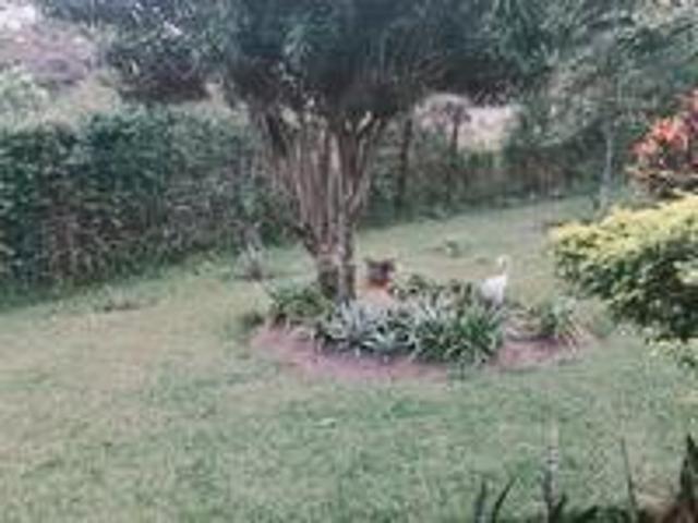 land with 3 bedroom home 3219 sqm