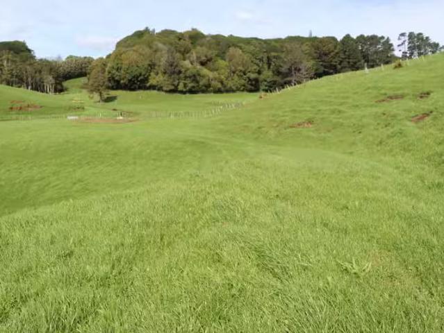 LAND WITH LOCATION FACTOR First National Real Estate