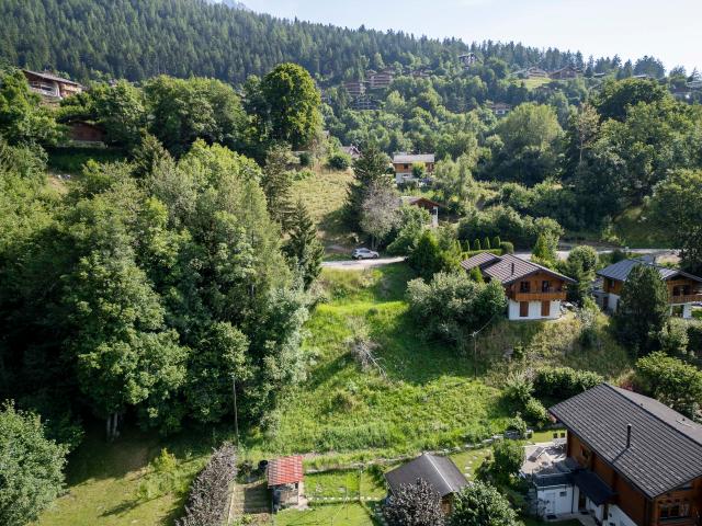 Land zum Verkauf in Ovronnaz