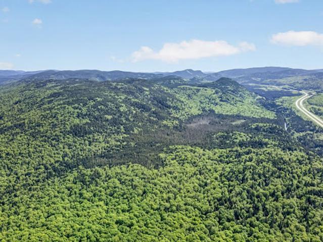 Land