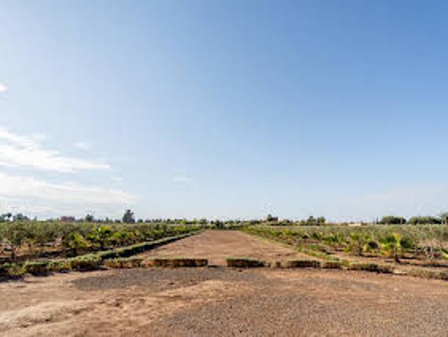 Land