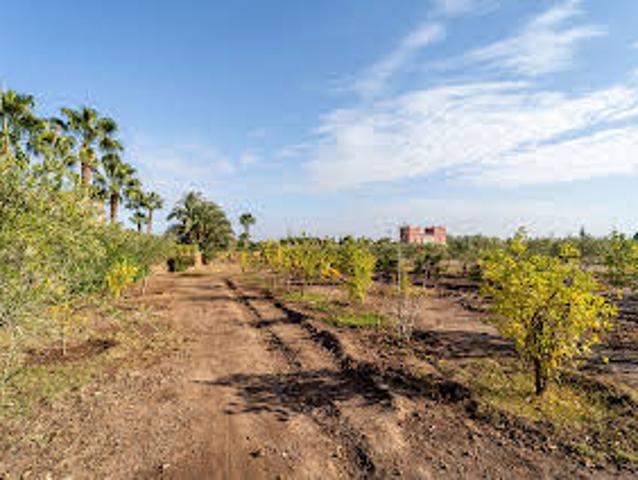 Land