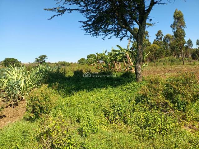 Land