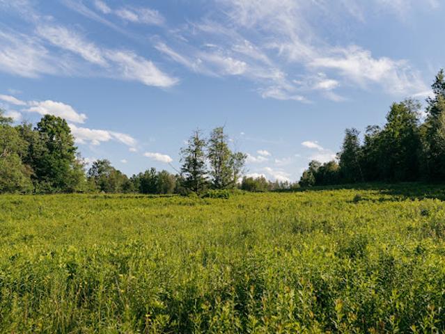 Land