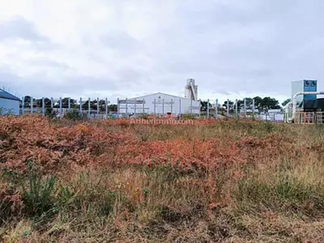 Landaul 56690 Achat / Vente terrain