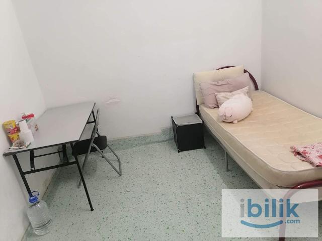 Landed house room to let