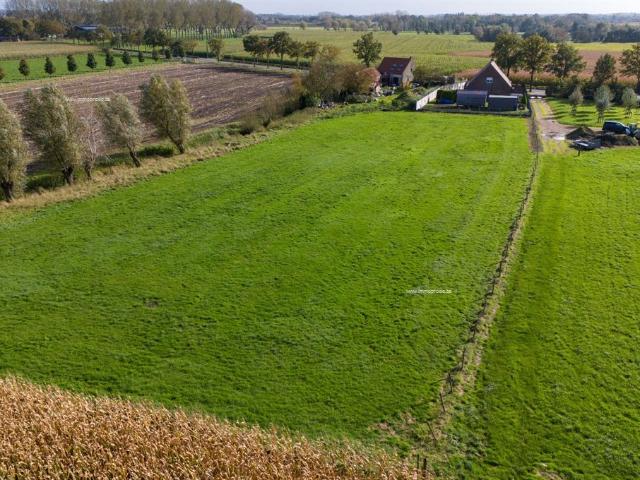 LANDELIJK gelegen woning met bijgebouw, stalling en WEILAND op 7.421 m²