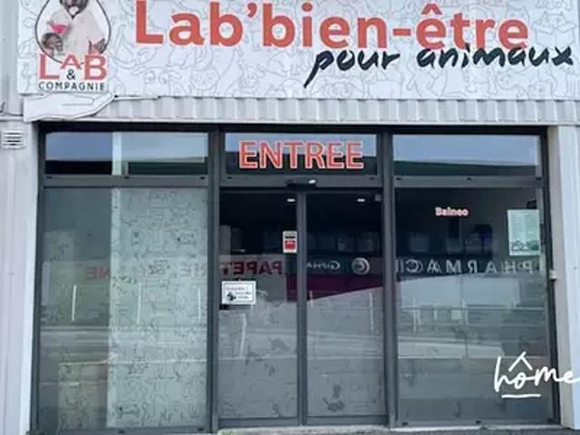 Landerneau 29800 Achat / Vente divers