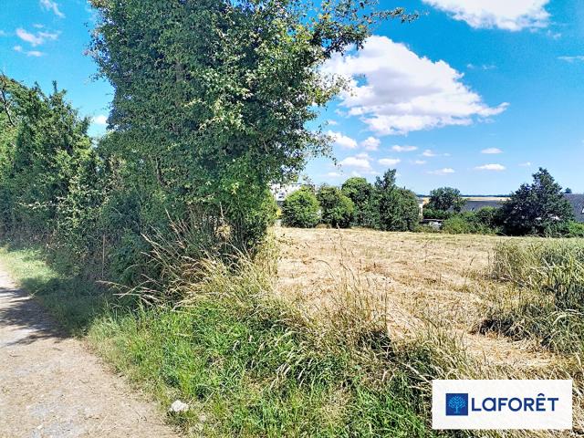 Landes sur Ajon Vente Terrain 14