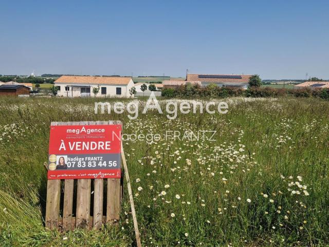 Landes Vente Terrain 17