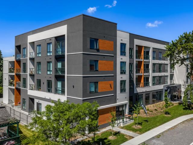 Landing on Main Pheonix Apartment for Rent