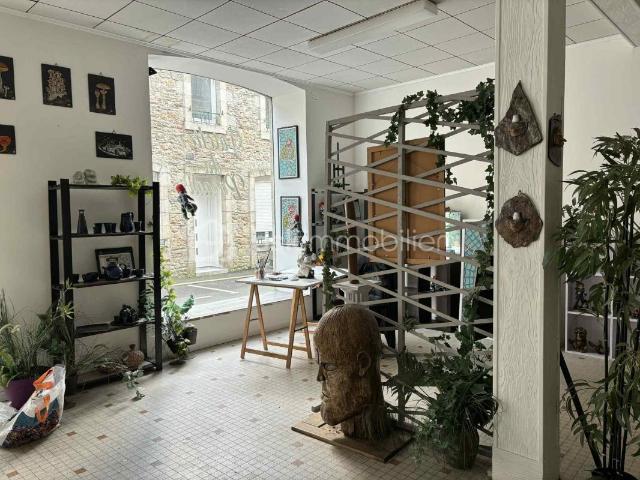 Landivisiau Vente Maison 29