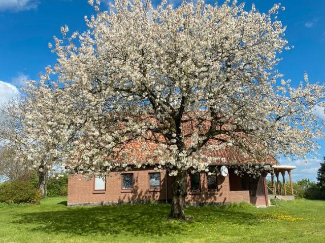 Ländliches Idyll nahe der Ostsee – Charmantes Bauernhaus
