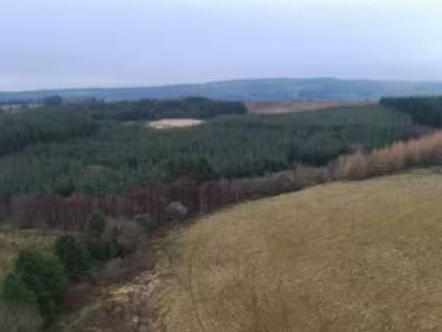Lands At Bealcragga, Connolly, Ennis, County Clare