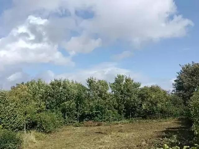 Landrethun lès Ardres 62610 Achat / Vente terrain