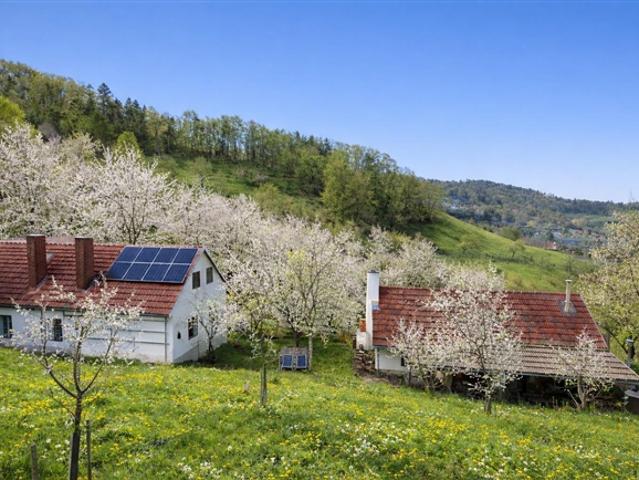 Landwirtschaft mit Eigenwald, Quellfassung und 38.000 m² Grund. Nur wenige Minuten nach Graz