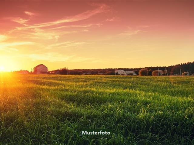 Landwirtschaftlich genutzte Fläche