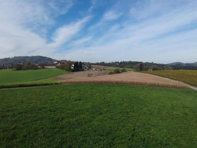 Landwirtschaftlicher Nutzgrund direkt an Aichbergstraße