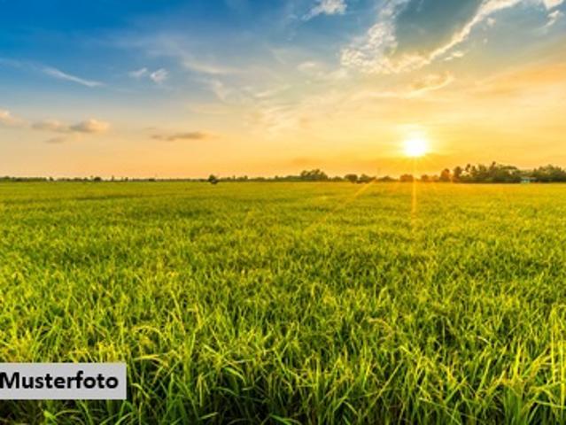 Landwirtschaftsfläche provisionsfrei