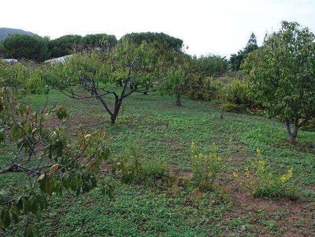 Building lot on sale in Ustica Ref 4180 1 | dreamo. Ch