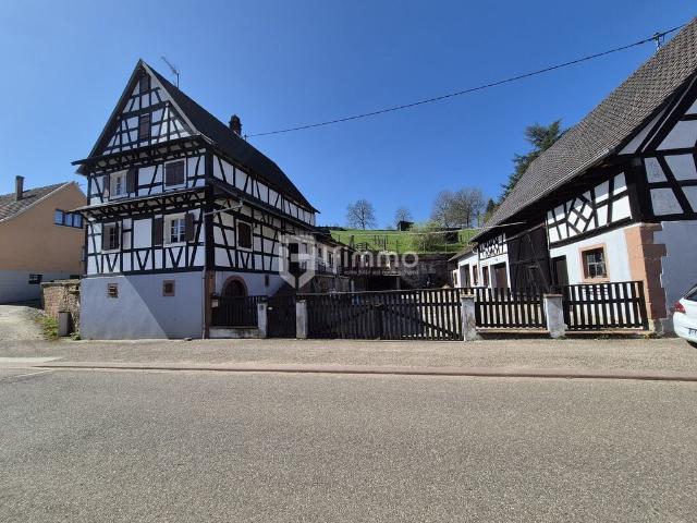 Langensoultzbach Vente Maison 67